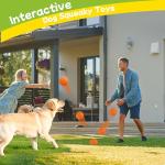 Indestructible Squeaky Dog Balls for Aggressive Chewers