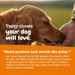 Zesty Paws Dog Allergy Relief Chews - 90ct