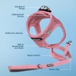 Voyager Step-in Air Mesh Harness & Leash Set