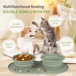 Collapsible Travel Dog Bowl for Food and Water