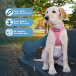 Voyager Step-in Air Mesh Harness & Leash Set