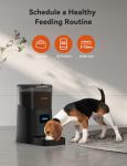 WOPET 6L Smart Automatic Dog and Cat Feeder