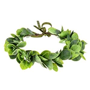 Dog Flower Crown with Eucalyptus Halo Headband