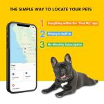 GPS Dog Collar with Real-Time Tracking