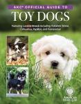 Toy Dog Breed Guide: Yorkshire Terrier, Chihuahua & More