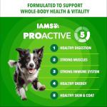 IAMS Proactive Health MiniChunks Dry Dog Food
