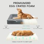 Homemate Dog Bed Large Sized Dog: 42x30 inch Orthopedic Large Dogs Bed XL Outdoor Pet Cat Bed Sofa Supplies with Toy Dogs Crate Pad Couch with Removable Washable Cover & Non-Slip Botton Dark Grey