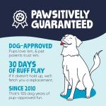 goDog Just For Me Gators Squeaky Plush Dog Toy, Chew Guard Technology - Pink, Mini