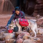 Kurgo Collapsible & Portable Travel Dog Bowl for Food & Water | Portable Water for Dogs | Food Grade Silicone Collapsible Dog Bowl | Pet Travel Accessories | BPA Free | Holdsup to 24 oz | Red