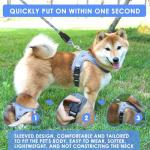 Dog Harness and Leash Set, No Pull Saddle Style Pet Harness, Breathable Mesh Adjustable Reflective Dog Vest for Dogs and Cat Medium Small Harness 2 D-Rings (Blue, M)