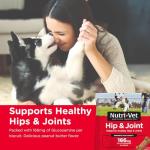 Nutri-Vet Hip & Joint Biscuits for Dogs, Tasty Glucosamine Treat, Puppy Supplements, Dog Joint Supplement, Small Sized Biscuit with 166mg Glucosamine, Puppy Essentials, Peanut Butter Flavor, 16 oz