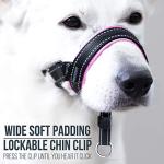 GoodBoy Dog Head Halter with Safety Strap - Stops Heavy Pulling On The Leash - Padded Headcollar for Small Medium and Large Dog Sizes - Head Collar Training Guide Included (Size 2, Pink)