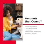 Nutri-Vet Hip & Joint Biscuits for Dogs, Tasty Glucosamine Treat, Puppy Supplements, Dog Joint Supplement, Small Sized Biscuit with 166mg Glucosamine, Puppy Essentials, Peanut Butter Flavor, 16 oz