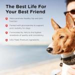 Nutri-Vet Hip & Joint Biscuits for Dogs, Tasty Glucosamine Treat, Puppy Supplements, Dog Joint Supplement, Small Sized Biscuit with 166mg Glucosamine, Puppy Essentials, Peanut Butter Flavor, 16 oz