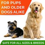 STRELLALAB Omega 3 for Dogs - (180Ct) Fish Oil Treats - Allergy & Itch Relief Skin & Coat Supplement - Dry Itchy Skin, Anti Shedding & Hot Spots Treatment - Pet Salmon Oil Chews - Salmon Flavor