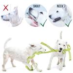 GoodBoy Dog Head Halter with Safety Strap - Stops Heavy Pulling On The Leash - Padded Headcollar for Small Medium and Large Dog Sizes - Head Collar Training Guide Included (Size 2, Pink)