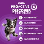 IAMS Advanced Health Skin & Coat Dry Dog Food, Adult Dog Food Dry Chicken and Salmon Recipe, 13.5 lb. Bag
