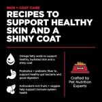 Go! Solutions Skin + Coat Care Lamb Dry Dog Food with Grains, Chicken-Free, Healthy Kibble with Omega-3s & 6s for Soft, Shiny Fur, for Puppies, Adults, & Seniors, 3.5 lb Bag