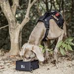 OneTigris Military Pet Bowl Collapsible 70 oz Treat Food & Water Holder for Small to Medium Puppy Dog