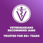 IAMS Advanced Health Skin & Coat Dry Dog Food, Adult Dog Food Dry Chicken and Salmon Recipe, 13.5 lb. Bag