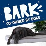 Barkbox Orthopedic Dog Bed with Memory Foam, Premium Comfort for Dogs and Puppies, Large Sized Dog Bed for Joint Relief and Restful Sleep, Durable and Easy to Clean - Grey, Large