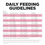 Go! Solutions Skin + Coat Care Lamb Dry Dog Food with Grains, Chicken-Free, Healthy Kibble with Omega-3s & 6s for Soft, Shiny Fur, for Puppies, Adults, & Seniors, 3.5 lb Bag