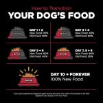 Go! Solutions Skin + Coat Care Lamb Dry Dog Food with Grains, Chicken-Free, Healthy Kibble with Omega-3s & 6s for Soft, Shiny Fur, for Puppies, Adults, & Seniors, 3.5 lb Bag