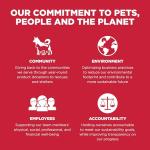 Go! Solutions Skin + Coat Care Lamb Dry Dog Food with Grains, Chicken-Free, Healthy Kibble with Omega-3s & 6s for Soft, Shiny Fur, for Puppies, Adults, & Seniors, 3.5 lb Bag