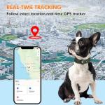 2-in-1 GPS Tracker for Dogs: Smart Collar with Real-Time Location, No Monthly Fee, Unlimited Range (iOS Only) GPS Tracker Dog Collar- Ideal for Small, Medium Large Dogs(Tracker Included)(Green)