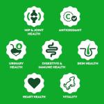 Greenies Dog Supplements 8-in-1 Multi-Benefit Dog Vitamins and Supplements Chicken Flavor, 15.5 oz. Container, 80 Count