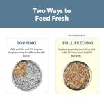 JustFoodForDogs Beef & Potato Wet Dog Food