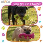 ASPCA Crinkle Chameleon Dog Toy – Squeaky, Stuffing-Free Plush with Crinkle Body for Interactive Play, Durable & Mess-Free Fun