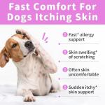 POPPAW Itch Relief for Dogs - Turmeric Supplements for Itching Skin Comfort & Coat Health & Seasonal Allergy Care, Immune Support Supplement with Omega-3 Fish Oil, Biotin - Beef Flavor - 90 Count