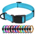 TagME Small Dog Collar, Adjustable Reflective Nylon Pet Collar with Quick Release Buckle, Sky Blue, 5/8" Width