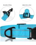 TagME Small Dog Collar, Adjustable Reflective Nylon Pet Collar with Quick Release Buckle, Sky Blue, 5/8" Width
