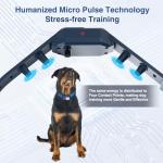 Dog Shock Collar - 4200FT Dog Training Collar with Remote for 20-140lbs Dogs, Innovative E Collar for Dogs Training with 4 Training Modes, Rechargeable Electric E-Collar for Large Dogs