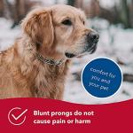 Herm Sprenger Ultra-Plus Prong Dog Training Collar, 2.25 mm x 13" Neck Size, 2.25 mm, Steel Chrome Plated Dog Prong Collar, Pinch Collar for Dogs, Dog Correction Collar