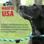 Mendota Pet Snap Leash - British-Style Braided Dog Lead, Made in The USA - Black Ice Turquoise, 3/8 in x 6 ft - for Small/Medium Breeds