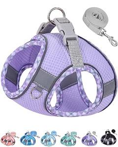 Petank Dog Harness for Small Medium Dogs No Pull, Puppy Harness and Leash Set, Step in Dog Harness for Walking, Running, Training, Small Dog Vest(Purple, S)