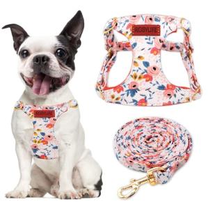 No Pull Dog Harness Adjustable Small and Leash Set, Lightweight and Soft Dog Harness No Choke Escape Proof Pet Harness Vest (Orange Rose, Medium)