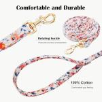 No Pull Dog Harness Adjustable Small and Leash Set, Lightweight and Soft Dog Harness No Choke Escape Proof Pet Harness Vest (Orange Rose, Medium)