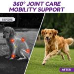 Lysimi Hip and Joint Supplement Dogs, Glucosamine Chondroitin Joint Supplement for Dogs, Joint Chews for Dog Joint Pain Relief 180 Ct Chicken Flavored Fit All Breed