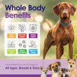 Dog Multivitamin Chewable - 22 in 1 Dog Vitamins and Supplements with Green Lipped Mussel & Omega 3 for Joints, Skin & Coat, Immune System - Senior & Puppy Multivitamin for Dogs - 60 Beef Chews