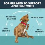 Mighty Paw Waggables Allergy Immune + Itch (Made in The USA) -Dog Chews Anti-Itch for Dogs. Allergy Support Vitamins for Skin and Coat Allergies. Omega 3 & Quercetin for Pets 120 Ct