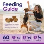 Dog Multivitamin Chewable - 22 in 1 Dog Vitamins and Supplements with Green Lipped Mussel & Omega 3 for Joints, Skin & Coat, Immune System - Senior & Puppy Multivitamin for Dogs - 60 Beef Chews