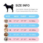 IVY&LANE No Pull Dog Harness for Small Dogs, Dog Vest Harness with Leash, Safety Belt and Storage Strap, Fully Adjustable Harness, 360° Reflective Strip, Soft Handle (Blue, S)