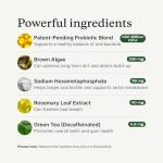 PetLab Co. ProBright Advanced Dental Powder - Dog Breath Freshener - Teeth Cleaning Made Easy – Targets Tartar & Bad Breath - Packaging May Vary - Formulated for Small Dogs