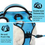 IVY&LANE No Pull Dog Harness for Small Dogs, Dog Vest Harness with Leash, Safety Belt and Storage Strap, Fully Adjustable Harness, 360° Reflective Strip, Soft Handle (Blue, S)