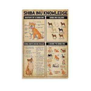 Shiba Inu Knowledge Poster - Vintage Japanese Dog Breed Guide with Anatomy Chart, Shiba Inu Colors & House Rules - Bedroom, Perfect for Room Decor, Or Classroom Wall Art - Ideal Gift for Pet Loversst