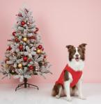 Chol&Vivi Dog Clothes Shirts, 4pcs Shirt for Large Size Dog, Blank Pet Cotton Sleeveless Apparel Soft and Lightweight, Tank Top for All Breeds, Light Blue/Green/Red/Orange, XX-Large